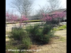 -上海长兴岛郊野公园