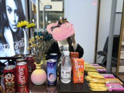 -华卫思理轻奢造型