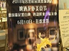 -碧桂园凤凰城酒店(南京店)