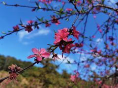 -象头山国家级自然保护区