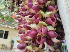 -区海鸡场饭店(石壁店)