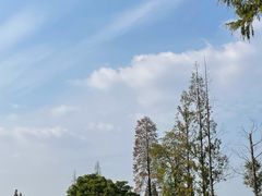 -良渚古城遗址公园