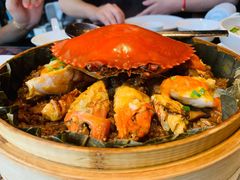 -遇外滩(BFC外滩金融中心店)