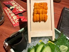海胆-摩打食堂(喜荟城店)