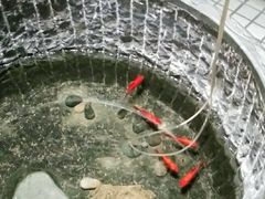 -福茂源横山铁锅羊肉(牡丹园店)