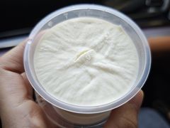 奶霜薄荷绿豆冰-沈大成(南京东路店)