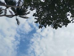 -查汶海滩