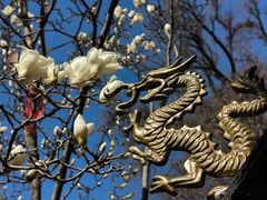 -天津盘山风景名胜区