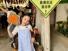 -大象粑粑造纸公园