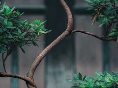 -Me Coffee下午茶艺术空间