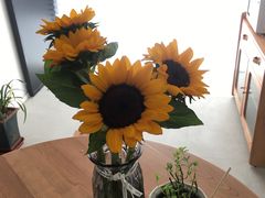 -秦美花卉(天朗·莱茵小城2期店)