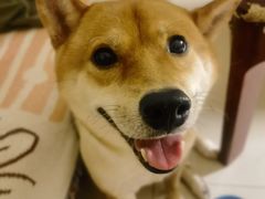 -重庆轻喜到家家政保洁