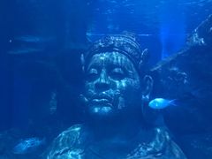 -暹罗海洋世界