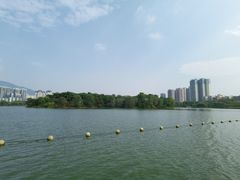 -飞来湖湿地公园