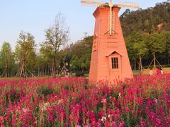 -顺峰山公园