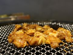 香辣掌中宝-鶴山李