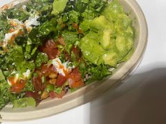 -油梨树AVOCADO TREE(望京店)