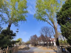 -青龙湖公园