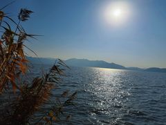 -东钱湖小普陀景区