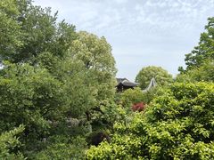 -苏城小院·园林精致苏州菜(斜塘老街店)