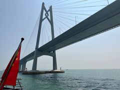-招商蛇口邮轮母港(观光客运)