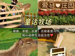 -盈香心动乐园