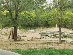 -北京野生动物园