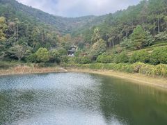 -九龙潭景区
