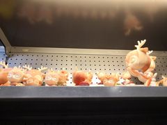 -万达广场(南京江宁店)