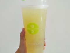 -树夏(建设路店)