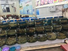 -烁佳海鲜大馅饺子