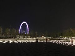 -南京眼步行桥