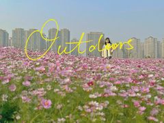 -洋湖国家湿地公园