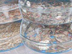 -蓝珊甄选海鲜自助·火锅大排档(近阿那亚店)
