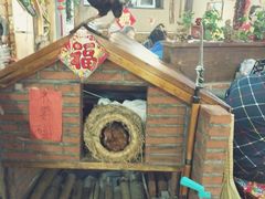 -山里屯铁锅炖(哈尔滨中央大街店)