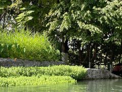 -成都市活水公园