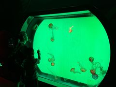 -沈阳海洋探索中心