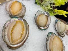 -东国海鲜火锅城(氹仔店)
