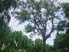 -三里河公园