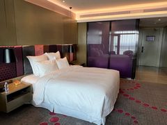 -南京禄口机场雅高铂尔曼大酒店