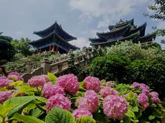 -阅江楼风景区