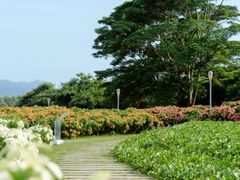 -深圳湾公园(南山区)
