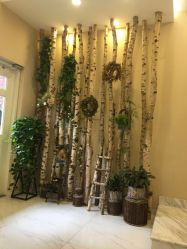 -新蝶变皮肤管理中心