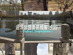 -迎泽公园