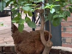 -旧雨咖啡·CoffeeFORU(黄村奥体店)