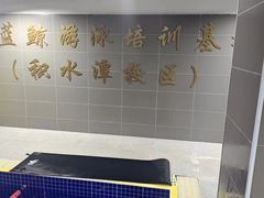 -小蓝鲸游泳培训基地(积水潭店)