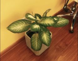 -美奈サロン美甲美睫皮肤管理