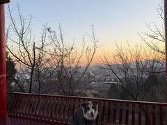-白水寺森林公园