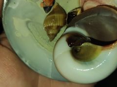 -赶海儿海鲜镖局·平价海鲜小馆(金沙滩店)