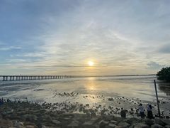 -宝安西湾红树林湿地公园